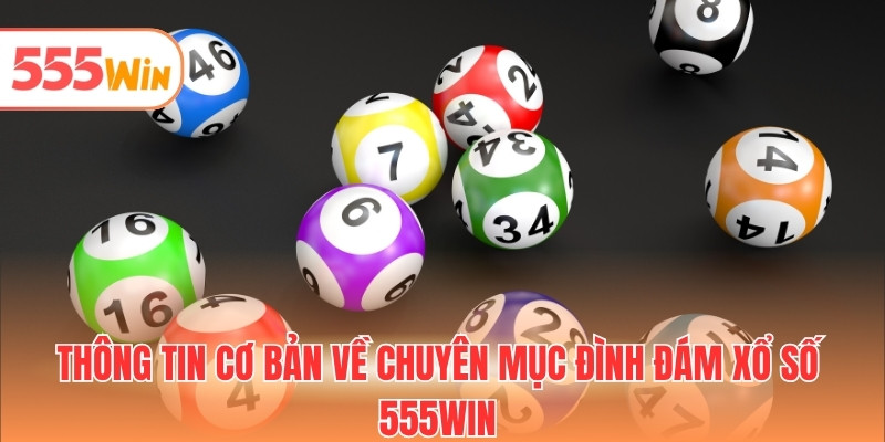 Thông tin cơ bản về chuyên mục đình đám xổ số 555WIN