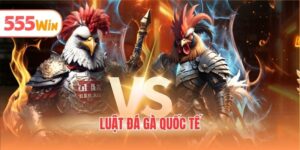 Luật đá gà quốc tế